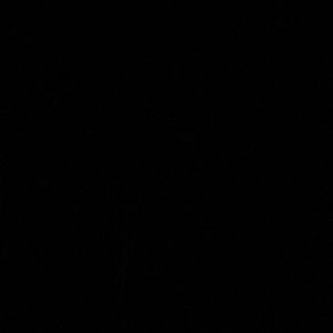 Meet your Posher, Elisa